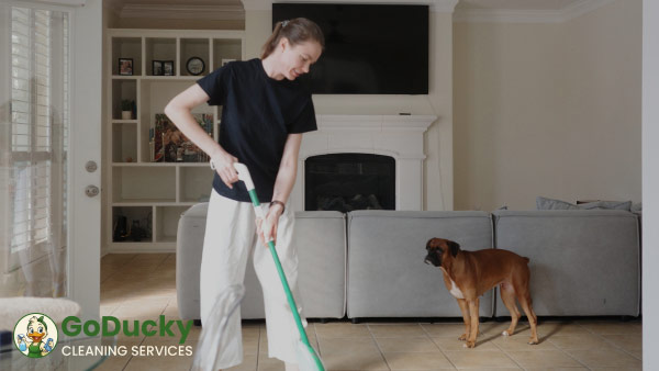 GoDucky Cleaning Services: Living room cleaning